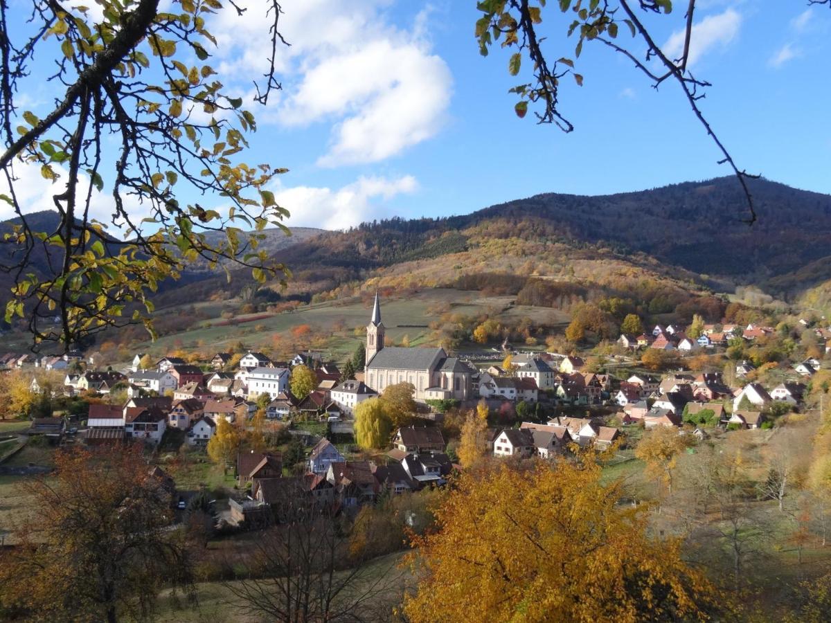 Maison D'Hotes La Cerisaie Breitenbach Esterno foto
